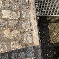 IMG_1732811