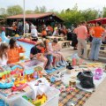IMG_2029194