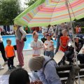 IMG_2029223