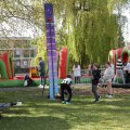 IMG_2028155