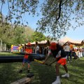 IMG_2028373