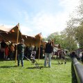 IMG_2028423