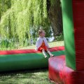 IMG_2028446