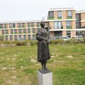 IMG_2028613