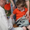 IMG_2028734
