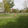 IMG_2029138