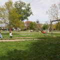 IMG_2029139