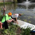 IMG_2029477