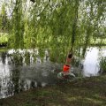 IMG_2029488