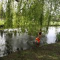 IMG_2029490