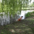 IMG_2029492
