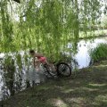 IMG_2029498