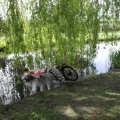 IMG_2029499