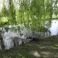 IMG_2029500