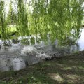 IMG_2029501
