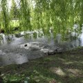 IMG_2029502