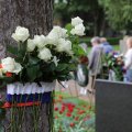 IMG_2031031