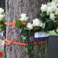 IMG_2031090