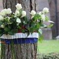 IMG_2031091