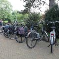 IMG_2031114