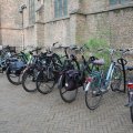IMG_2031115