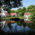 IMG_2032446