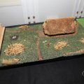 IMG_2032467