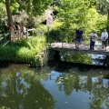 IMG_2032925