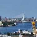 IMG_2033145