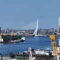 IMG_2033146