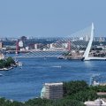 IMG_2033166
