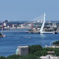IMG_2033167
