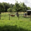 IMG_2037158