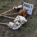 IMG_2037210