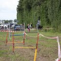 IMG_2037222