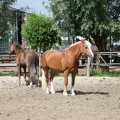 IMG_2037253