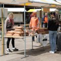 IMG_2037266