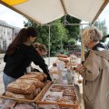 IMG_2037297