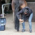 IMG_2037317
