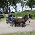 IMG_2037329