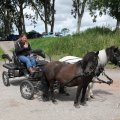 IMG_2037331