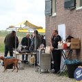IMG_2037334