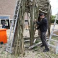 IMG_2037373