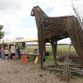 IMG_2037376