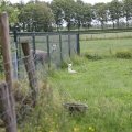 IMG_2037427