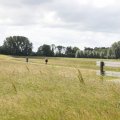 IMG_2037435