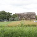 IMG_2037440