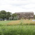 IMG_2037441