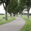 IMG_2037476