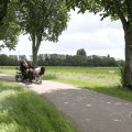 IMG_2037478